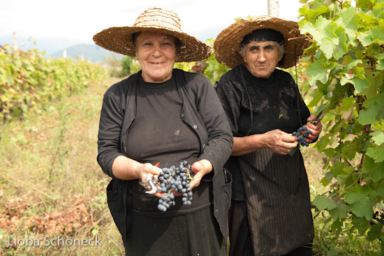 Georgien | 10.09. bis 25.09.2011