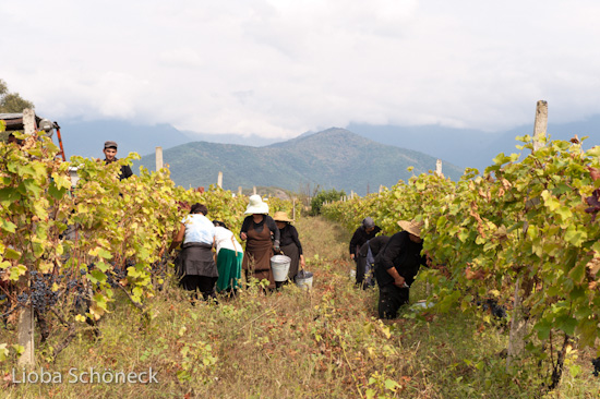 Georgien | 10.09. bis 25.09.2011