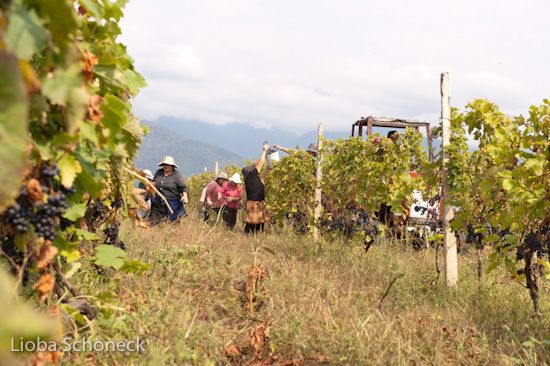 Georgien | 10.09. bis 25.09.2011