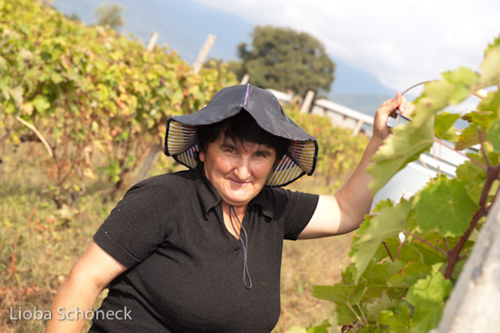 Georgien | 10.09. bis 25.09.2011