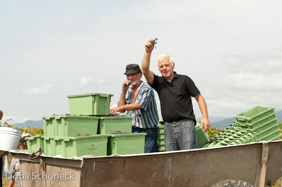 Georgien | 10.09. bis 25.09.2011