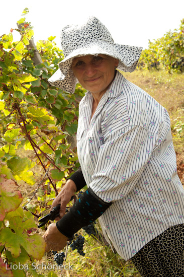 Georgien | 10.09. bis 25.09.2011