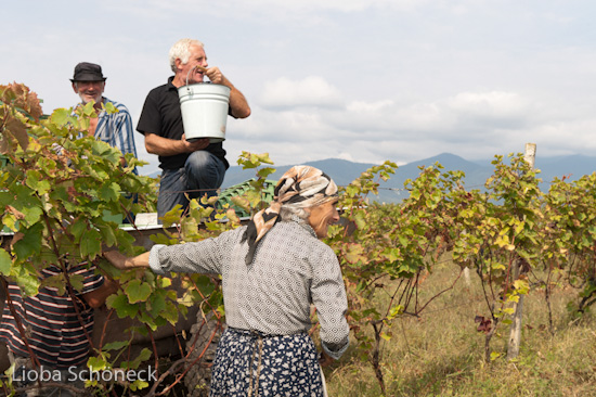 Georgien | 10.09. bis 25.09.2011