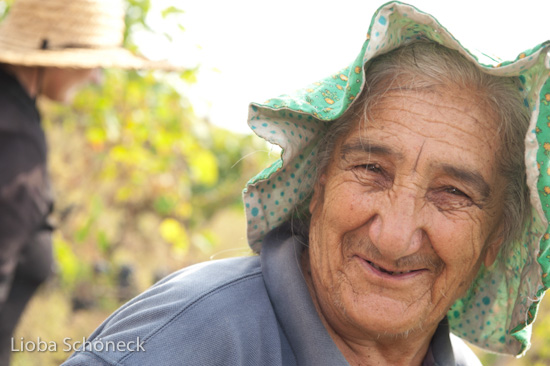 Georgien | 10.09. bis 25.09.2011