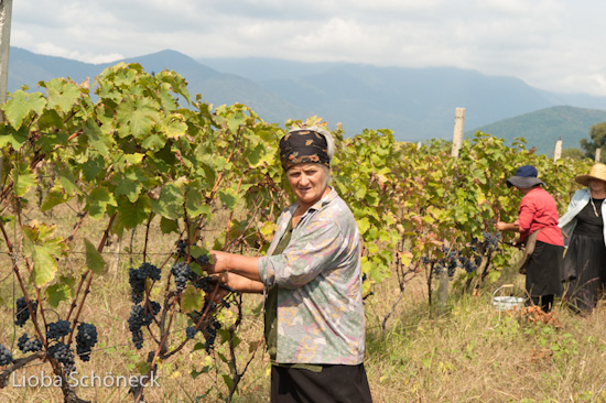 Georgien | 10.09. bis 25.09.2011