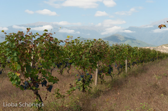 Georgien | 10.09. bis 25.09.2011