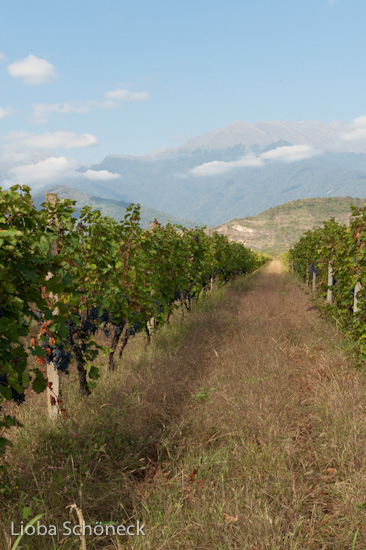 Georgien | 10.09. bis 25.09.2011