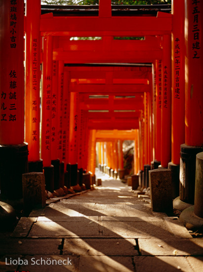 Japan | Kyoto