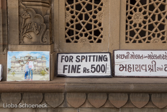 Gujarat 2014 | Ahmedabad und Kutch | 12.08. bis 03.09.2014