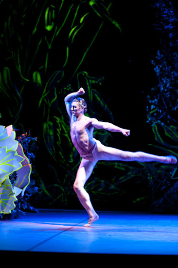 Ein Sommernachtstraum | Youri Vàmos | HPII 24.05.2012