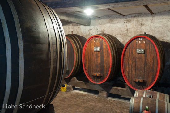 Weingut A. von Elzenbaum | Keller mit alten Weinfaessern