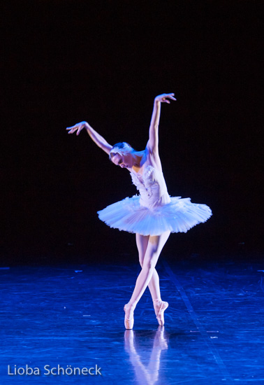 Ballettgala 2016 |  Mainfrankentheater Würzburg | 30.06.2016