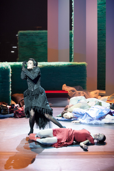 Dornröschen | HPI | 22.01.2013