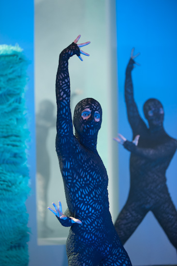 Dornröschen | HPI | 22.01.2013