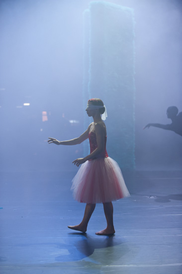 Dornröschen | HPI | 22.01.2013