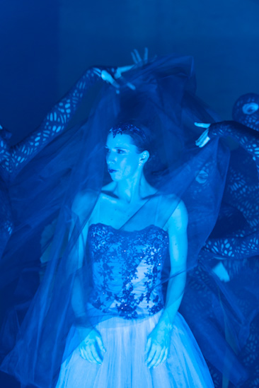 Dornröschen | HPI | 22.01.2013