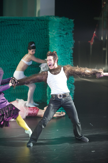 Dornröschen | HPI | 22.01.2013