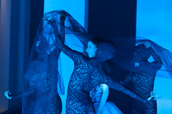 Dornröschen | HPII | 24.01.2013