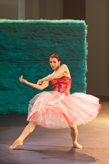 Dornröschen | HPII | 24.01.2013